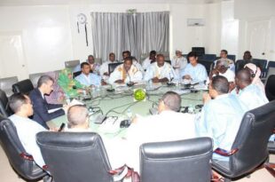 لجنة المالية بالجمعية الوطنية الموريتانية تناقش ميزانية الوزارة الأولى