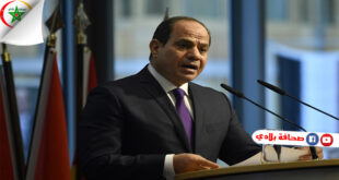 الرئيس المصري : "الأزمة الليبية في طريقها لحل سلمي"