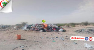 موريتانيا : إتلاف كميات من المواد الغذائية والأدوية منتهية الصلاحية