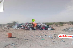 موريتانيا : إتلاف كميات من المواد الغذائية والأدوية منتهية الصلاحية