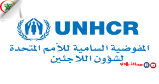 المفوضية السامية للأمم المتحدة لشؤون اللاجئين قلقة بشأن تصاعد الاشتباكات المسلحة في ليبيا