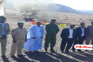 موريتانيا : حرق كمية من الأدوية منتهيه الصلاحيه بولاية تيرس زمور