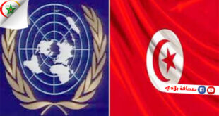 تونس تتسلم رسميا مقعدها غير الدائم بمجلس الأمن والأزمة الليبية والقضية الفلسطينية أهم تعهداتها