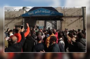"يا بلحمير عار عليك والصحافة كبيرة عليك" شعار للمحتجين أمام دار الصحافة + فيديو