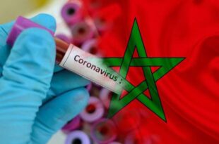هـــام.. المغرب يترقب وصول 3 ملايين جرعة من اللقاح الصيني في هذا الموعد