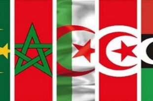 علي الصلابي " يجب السعي إلى توحيد البلدان المغاربية وتجنب التصريحات التي قد يساء فهمها"