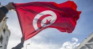 هل تلقى القضاء التونسي طعونا حول نتائج الاستفتاء؟