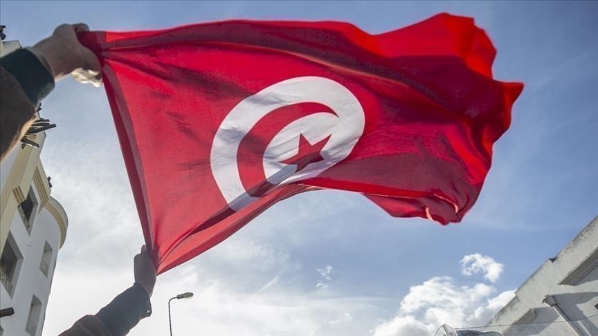 هل تلقى القضاء التونسي طعونا حول نتائج الاستفتاء؟