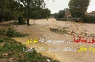 سيول بموريتانيا تودي بحياة طفل