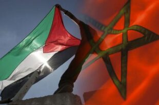 المملكة المغربية تعرب عن قلقها اتجاه الأوضاع في قطاع غزة وتجدد مواقفها الثابتة والداعمة لحقوق الشعب الفلسطيني