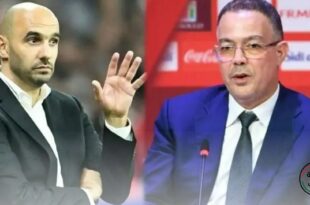 الركراكي يطلب من لقجع توفير 8 مباريات ودية للأسود