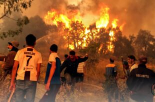 الجزائر تحترق/ كارثة في الأفق: اندلاع حرائق غابات مدمرة تهدد الجزائر