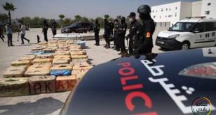 ضربة قوية لشبكة تهريب المخدرات في المغرب: توقيف 6 أشخاص وحجز 11 طنًا من مخدر الشيرا