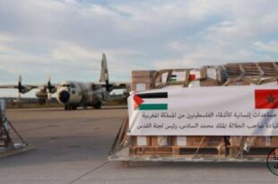 بتعليمات ملكية..المساعدات المغربية العاجلة للفلسطينيين تصل مطار العريش
