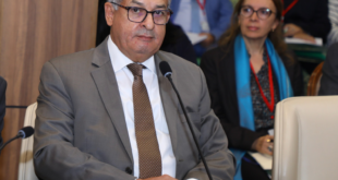 دعوة لتعزيز الصناعة التقليدية: حسن شميس يطالب بتفعيل المجلس الوطني وتطوير الإطار القانوني