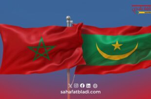 مشروع طاقي غير مسبوق.. ربط كهربائي مباشر بين المغرب وموريتانيا