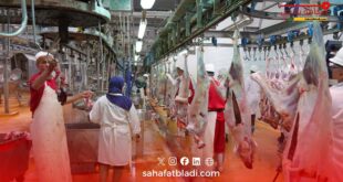 الدار البيضاء: تجديد شهادات الجودة لمجازر العاصمة الاقتصادية وتعزيز معايير السلامة والتتبع