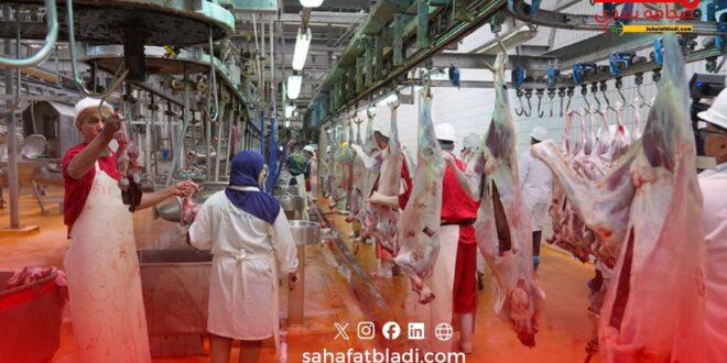 الدار البيضاء: تجديد شهادات الجودة لمجازر العاصمة الاقتصادية وتعزيز معايير السلامة والتتبع