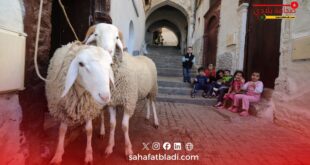 مفتي تونس يحسم الجدل حول أضحية العيد: “لا إثم على غير القادرين مادياً”
