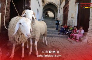 مفتي تونس يحسم الجدل حول أضحية العيد: “لا إثم على غير القادرين مادياً”