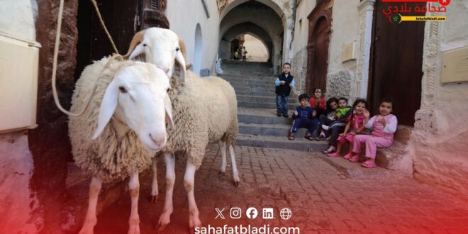 مفتي تونس يحسم الجدل حول أضحية العيد: “لا إثم على غير القادرين مادياً”